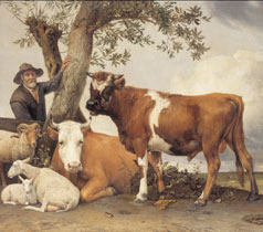 Royal Picture Gallery Mauritshuis